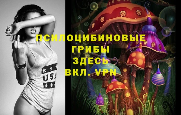 эйфоретик Алексин