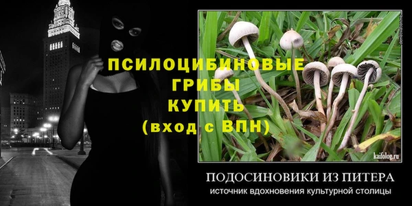 эйфоретик Алексин