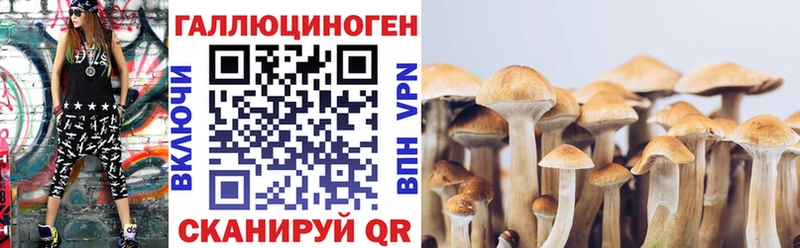 нарко площадка телеграм  omg как войти  Сорочинск  Галлюциногенные грибы мицелий 