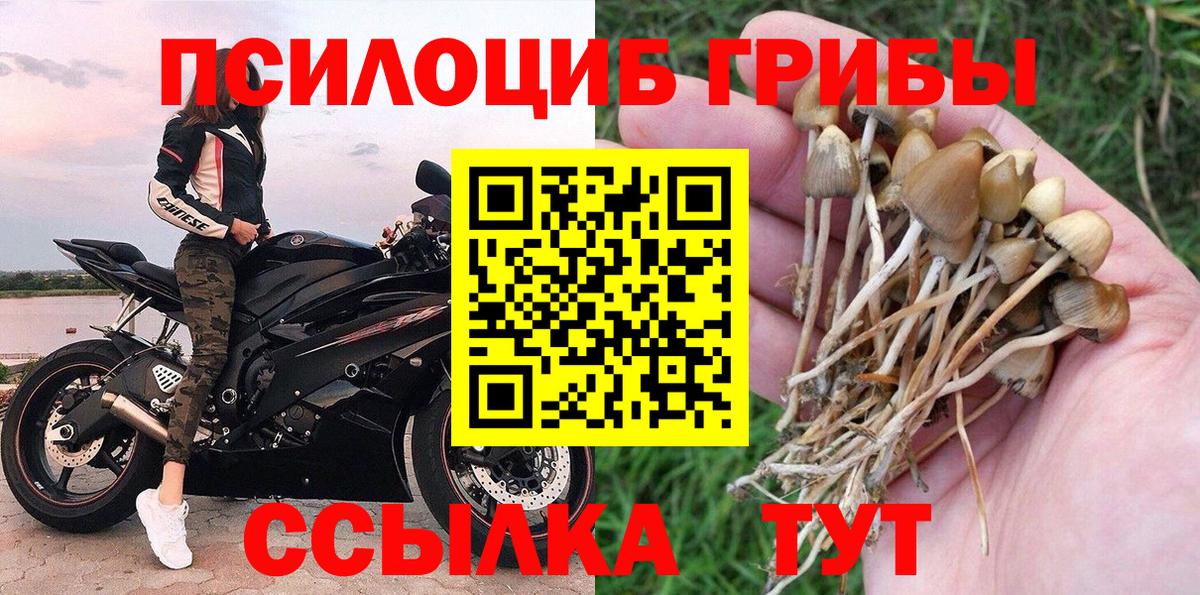 Псилоцибиновые грибы GOLDEN TEACHER Сорочинск